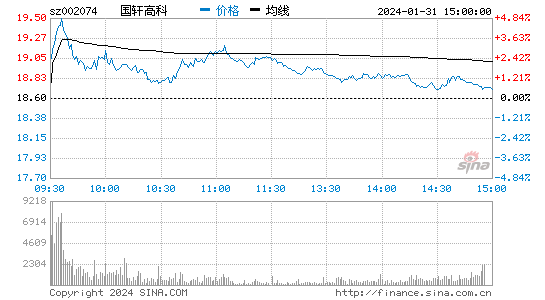 国轩高科[002074]股票行情 股价K线图