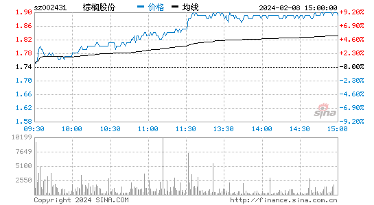 棕榈股份[002431]股票行情 股价K线图