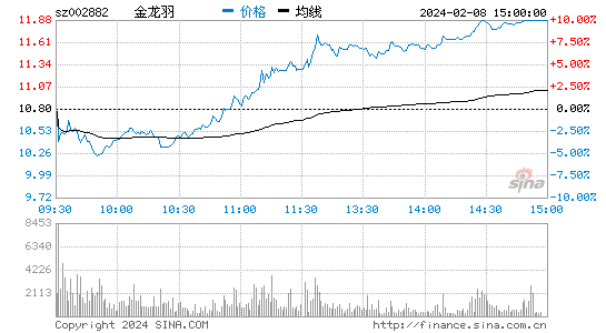金龙羽[002882]股票行情 股价K线图
