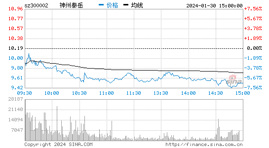 神州泰岳[300002]股票行情 股价K线图