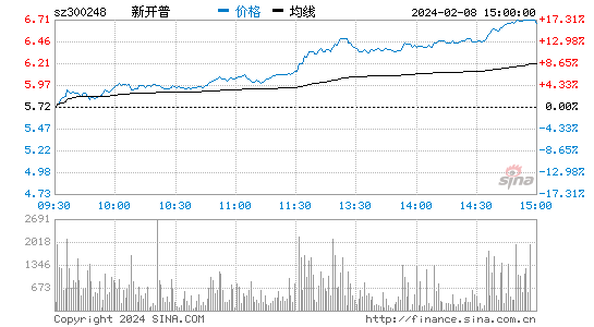 新开普[300248]股票行情 股价K线图