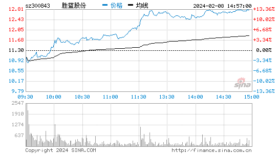 胜蓝股份[300843]股票行情 股价K线图