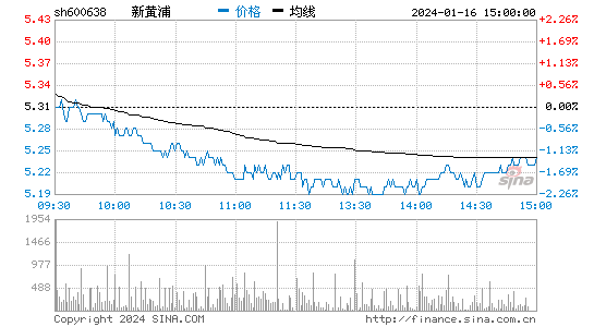 新黄浦[600638]股票行情 股价K线图